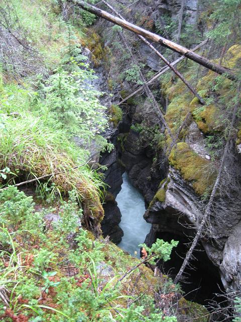 Canadian Rockies-262.JPG - Maligne Canyon